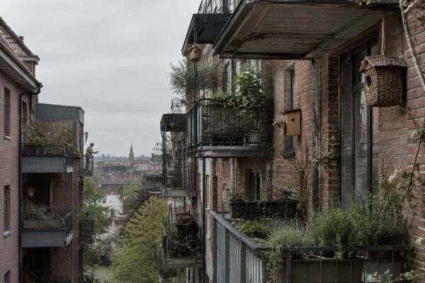 Guía práctica para conservar aleros y balcones respetando la nidificación