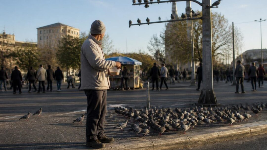 Por qué evitar dar de comer a palomas y qué hacer en su lugar