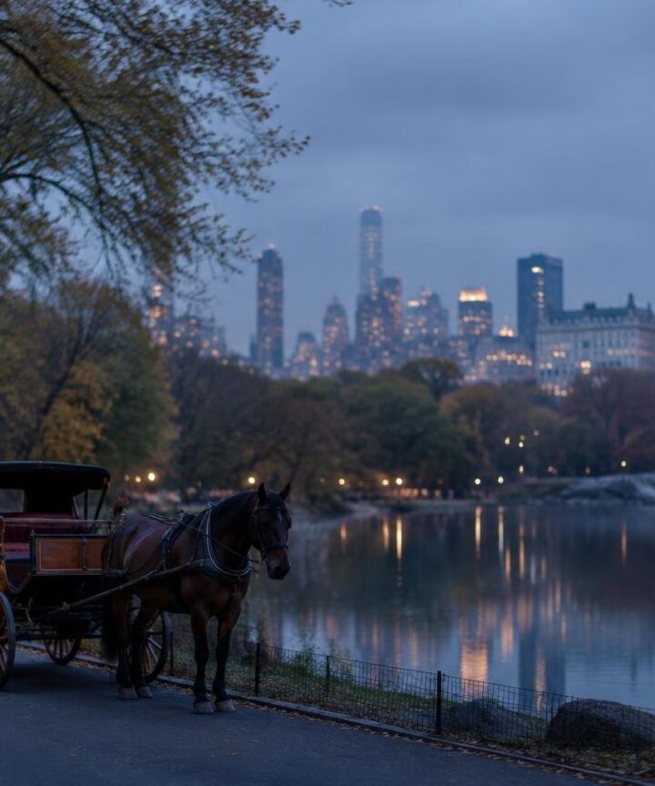 Prohibida la tradición de los carruajes en Central Park para 2028