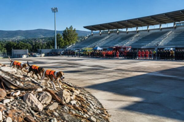 Rescate canino: Ponteareas brilla con tres medallas en el europeo