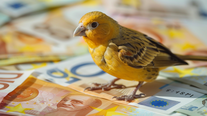 Quanto costa al mese mantenere un uccellino domestico?
