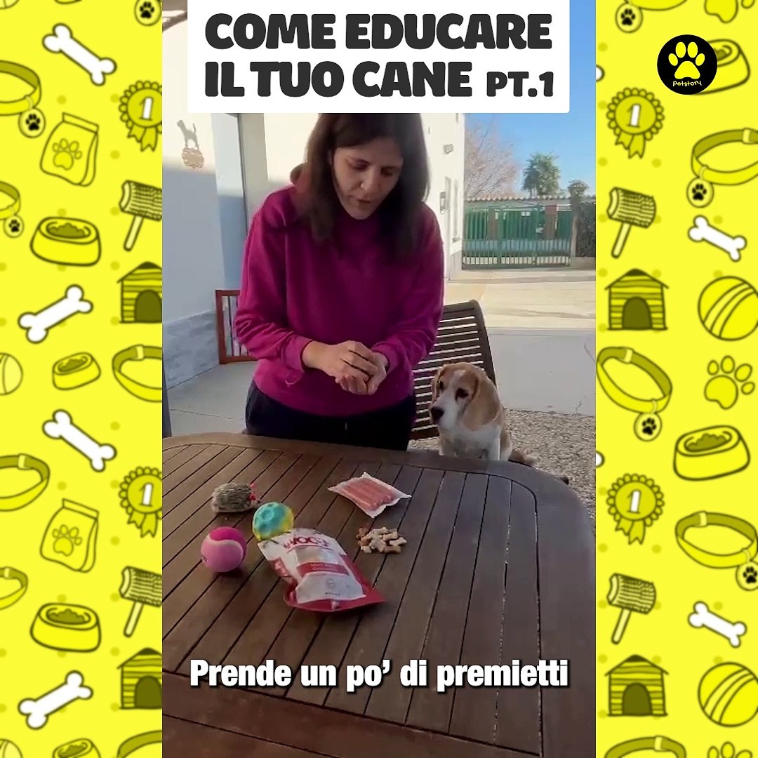 Come educare il tuo cane Parte 1