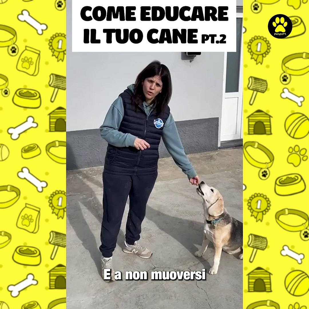 Come educare il tuo cane parte 2