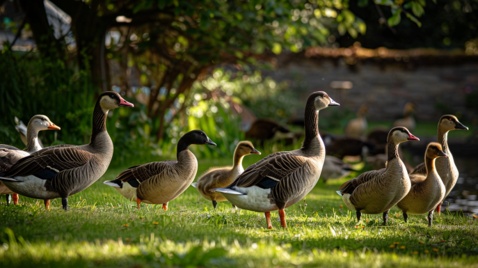 Animali da giardino: ecco quali sono