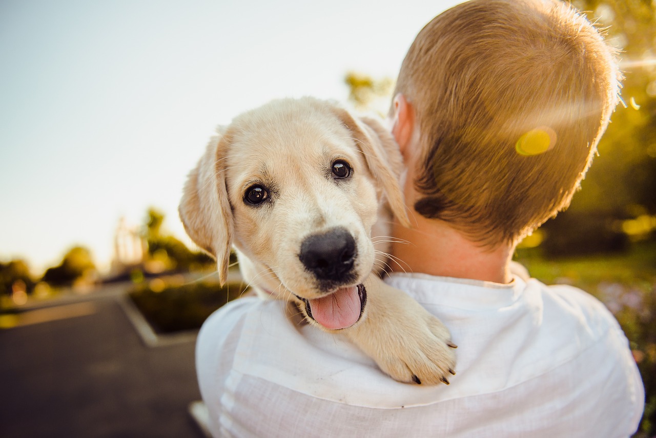 In vacanza con il cane: i consigli da non perdere