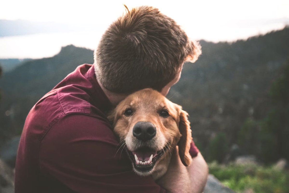 Assicurazioni per animali: scenari e vantaggi
