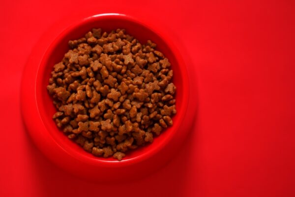 Necon Pet Food e Union Brescia: una partnership per lo sport e la comunità
