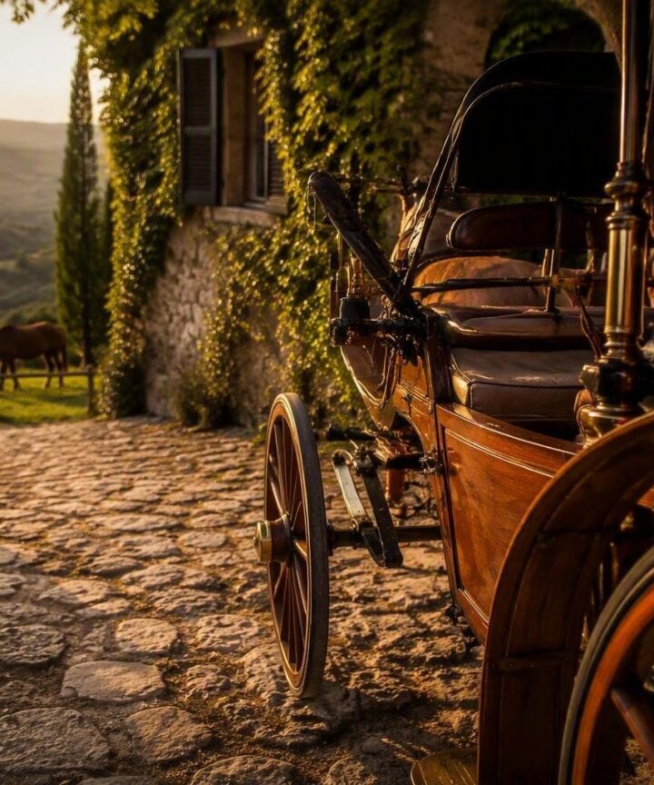 Cavalli e turismo: scelte rispettose oltre il traino