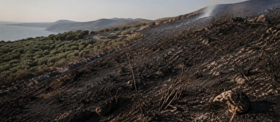Incendi in Grecia: evacuazioni a Paros e tragedia a Creta