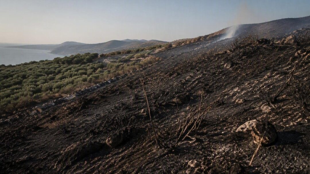 Incendi in Grecia: evacuazioni a Paros e tragedia a Creta