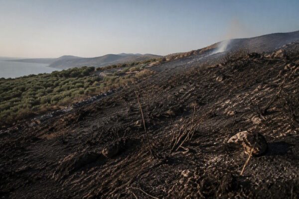 Incendi in Grecia: evacuazioni a Paros e tragedia a Creta
