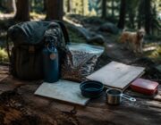 Trekking con il cane: allenamento, nutrizione e controlli veterinari