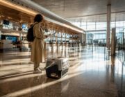 Aereo con cani di taglia grande: istruzioni chiare e complete