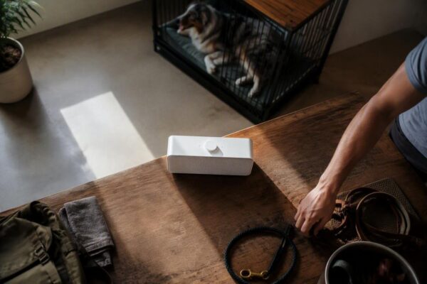 Desensibilizzare i cani ai tuoni con audio controllati: protocollo completo
