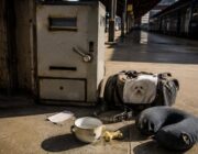 Eleonora e Artù: la storia di una multa ingiusta per il trasporto del cane in treno