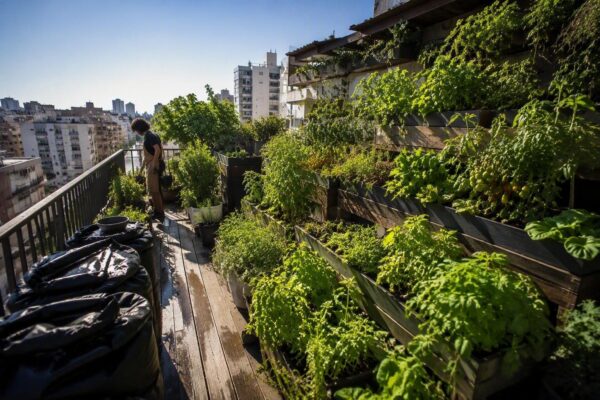 Micro-orti urbani: come trasformare balconi in sistemi produttivi