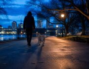 Perché adottare un cane è una scelta che richiede consapevolezza e responsabilità