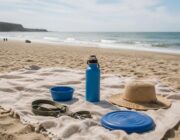 Portare il cane in spiaggia: guida pratica a regole e benessere