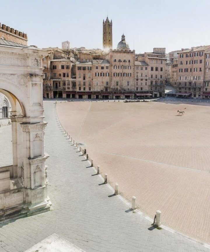 Previsite Palio di Siena: i cavalli più attesi superano i controlli veterinari