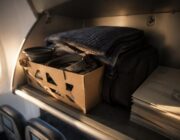 Viaggiare in aereo con il cane: cabina, stiva e documenti