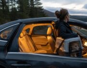 Cani in auto: come scegliere e installare trasportini