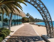 Design, solidarietà animale e evento al mare con i cani