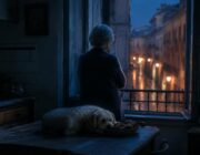 La storia commovente di Otis, il cane che ha conquistato il cuore di una nonna