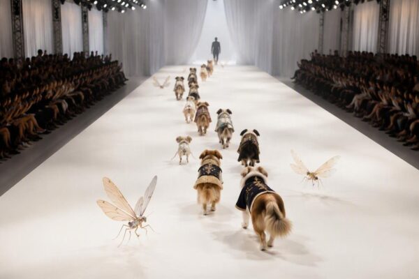 Moda insolita a New York: cani modello e sfilata ispirata a 'A Bug's Life'