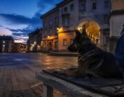 Polizia di Stato a Giussano: cani antidroga e tecniche investigative in mostra