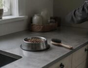 Routine in 4 passi per cani e gatti: toelettatura, parassiti, dieta FEDIAF e educazione LIMA