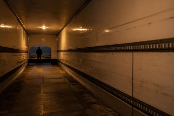 Tragedia su A22: sette cani da caccia trovati morti in furgone