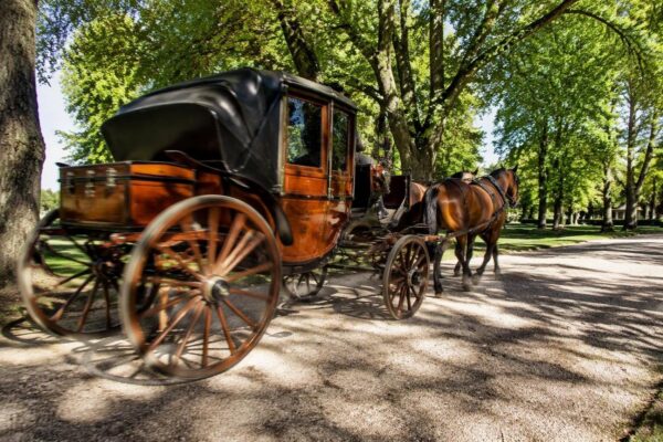 Weekend di pony, Hobby Horsing e carrozze d’epoca ad Alzano
