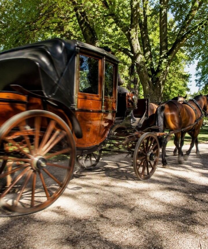 Weekend di pony, Hobby Horsing e carrozze d’epoca ad Alzano