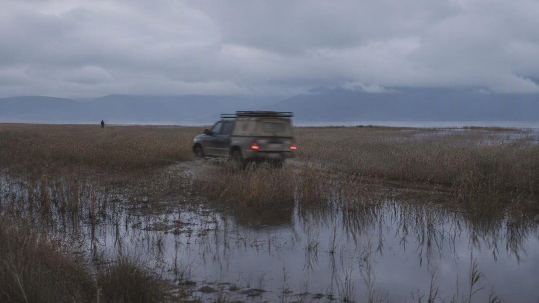 Bracconaggio sul roost dello Stretto: rapaci in pericolo