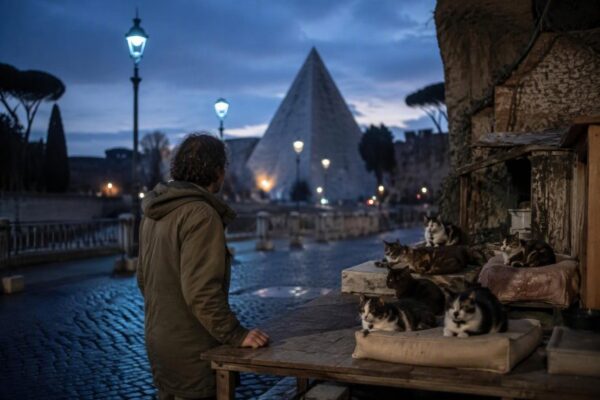 Eventi e progetti per animali a Roma: adozioni, colonie e nuove strutture