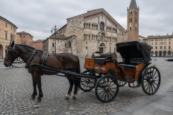 Evento equestre in Cittadella e risarcimento per incidente in carrozza