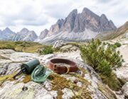 Feci canine in montagna: rischi per animali e persone