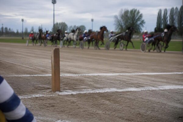 Gran Premio UET e Derby Italiano: i cavalli in gara a Vinovo