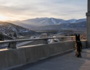 Il drammatico salto di Bruno, cane della polizia di Utah, finisce con un intervento riuscito