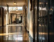 Norene e Polenta, i labrador che aiutano gli studenti di Colorado
