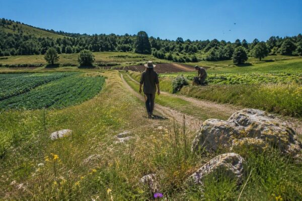 Osservare gli uccelli: giovani, agricoltura sostenibile e migrazioni