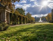 Parco Parodi ospita il Microchip Day per cani, 29 ottobre, ingresso libero