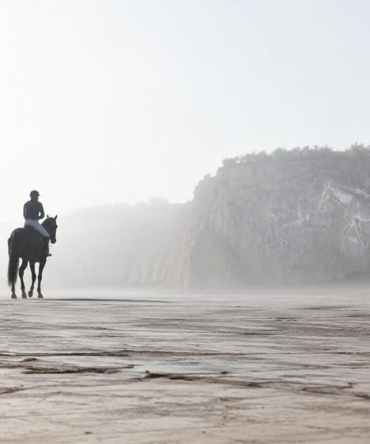Storia, illegalità e poesia del cavallo