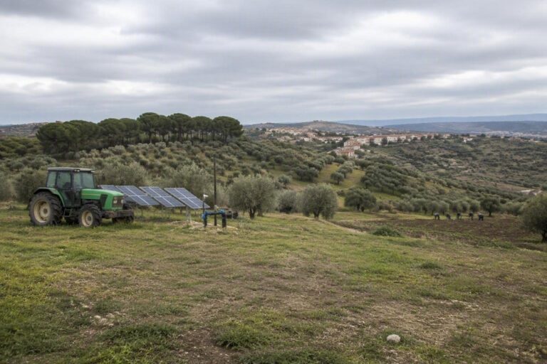 Bando SRD01 aggiornato: 20 milioni per la competitività agricola in Basilicata