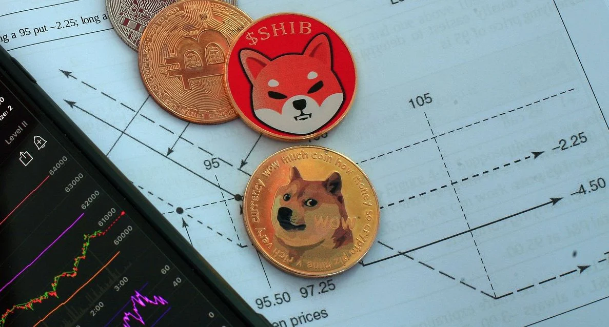 Cos’è Shiba Inu & Is It Like Dogecoin?