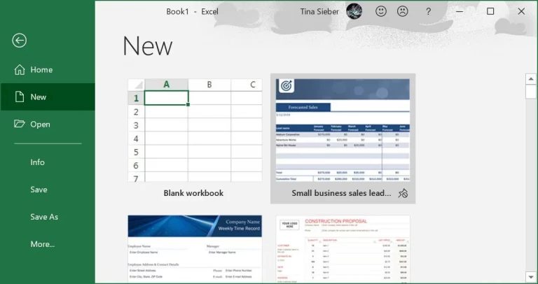 Excel Pin Template