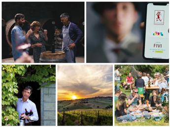 app di fivi come scoprire vigneti e cantine di oltre 1 600 vignaioli indipendenti 2