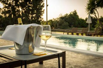 cantine con piscina o piscine tra le vigne il connubio perfetto per lestate 2