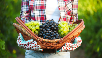raddoppiate le imprenditrici agricole negli ultimi 10 anni 2