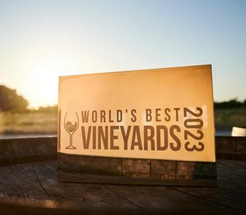 worlds best vineyards 2023 ceretto nella top50 e antinori nella hall of fame 2
